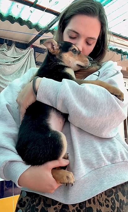 Rex chegou como um bebê assustado e sozinho.