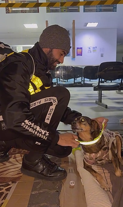 Danster colocando a coleira em um cão em situação de rua. 