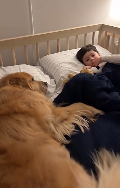 Agora, Beau e Frankie podem finalmente dormir juntinhos.