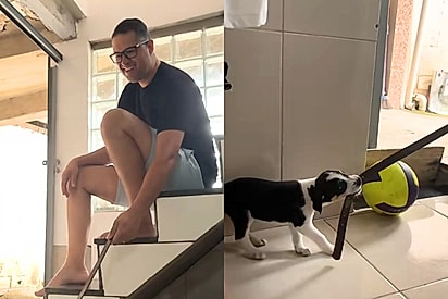 Após uma semana de adoção, jovem mostra como pai trata o cachorro que ele não queria 