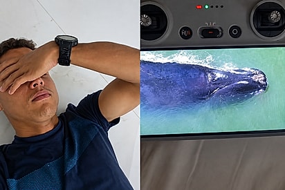 Jovem se lamenta após perder equipamento de R$ 18.000 tentando filmar animal marinho: Minutos antes, tudo estava lindo