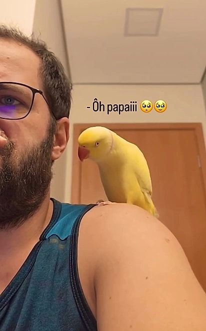 Mingau tentou de todas as formas chamar a atenção de Rafael.
