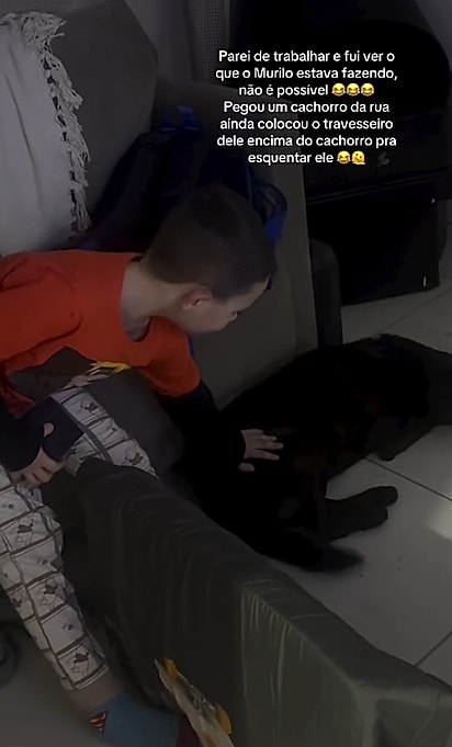 Murilo estava determinado a ficar com o cachorro.