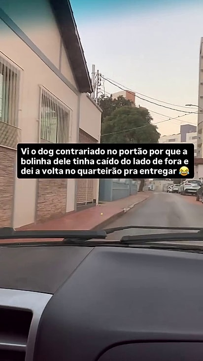O adestrador sempre passa pelo local mas nunca havia tido contato com o cão.