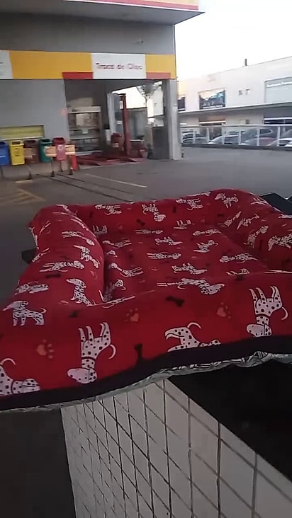 Ele ganhou uma cama nova de uma cliente do posto.