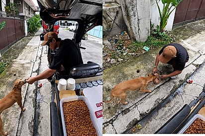 “Uma tigela de cada vez”: Jovem encontra novo propósito ao alimentar cães de rua e sonha ajudar 100 animais todos os dias.
