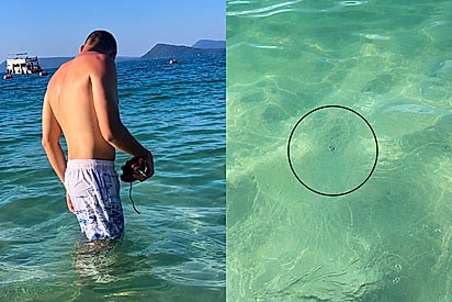 Casal nota algo pequeno seguindo os dois no mar e comportamento do peixinho surpreende.