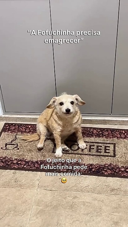 Apesar do peso ela é bem cuidada.
