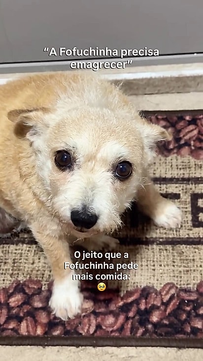 Ninguém consegue negar mais um poquinho de comida.