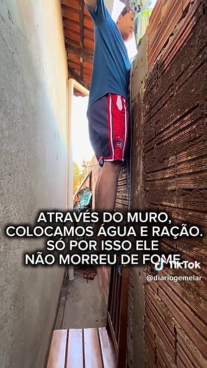 O cãozinho chorava o dia inteiro.