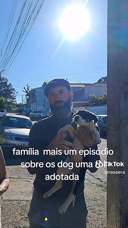A única fêmea filhote foi adotada.