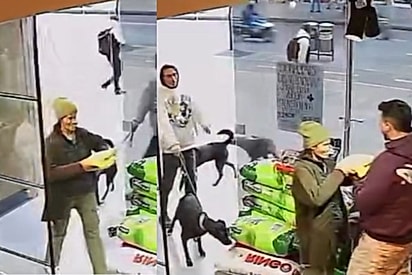 “Quem menos tem é quem mais dá”: Casal em situação de rua surpreende ao doar ração para animais.