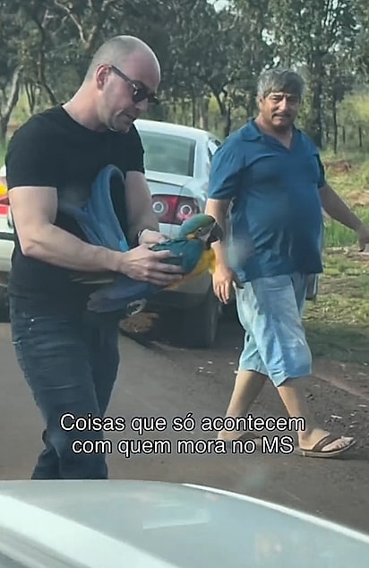 O casal interrompeu a viagem para retirar a ave do risco de atropelamento.
