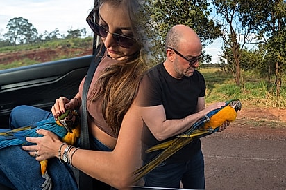 Casal