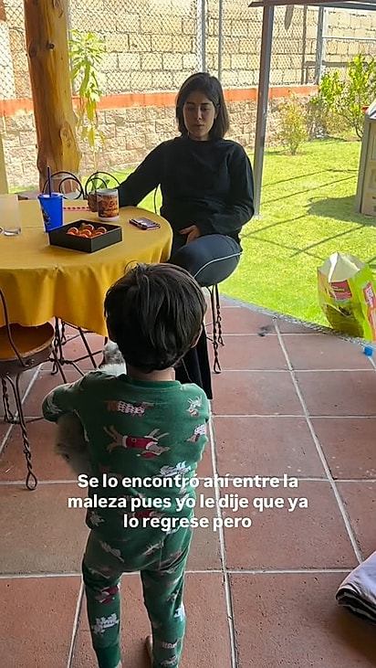 A missão do garotinho era convencer a mãe a adotar o filhote.
