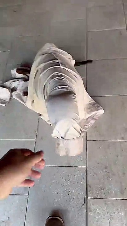 Os tutores perceberam a situação pela câmera.