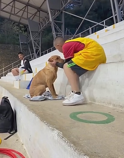 Sempre que tinha alguns segundos livres, o garotinho corria até o cão. 