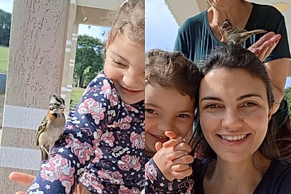 Impossível não sorrir: Pássaro escolhe família para mostrar todo o seu carinho e cena rara encanta 