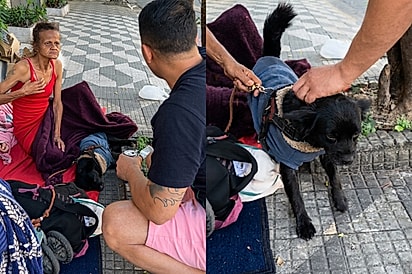 “Vou trazer ela de volta”: groomer conquista confiança de mulher em situação de rua para cuidar de sua cadelinha.