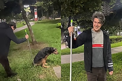 ‘Eu sou um gênio: Pai inventa solução para conseguir coletar urina para exame de cachorro que só faz xixi na grama 