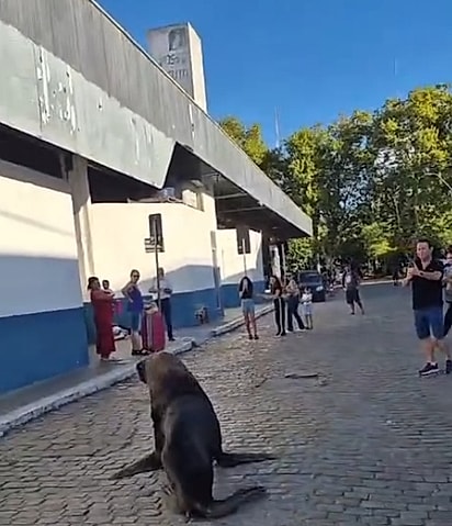 Sorriso, pleno, no meio da rua.