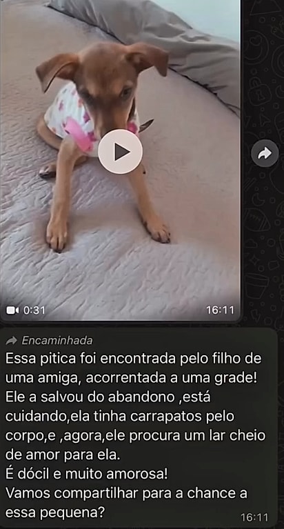 A mensagem que Erilem recebeu. 