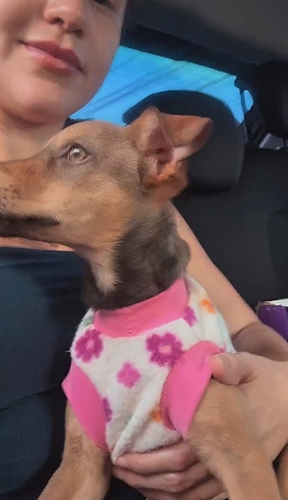Erilem foi buscar a cachorrinha. 
