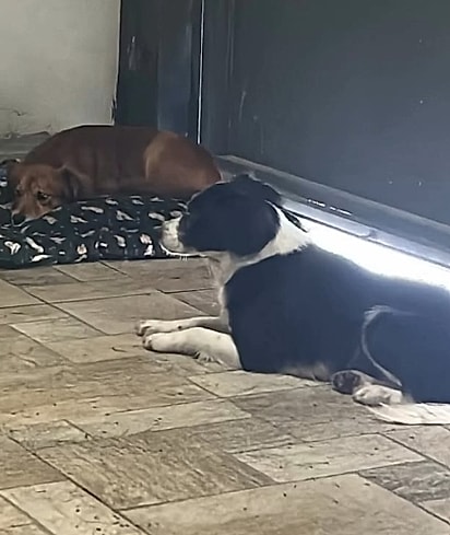 Chiquinho petencia a uma pessoa acumuladora.