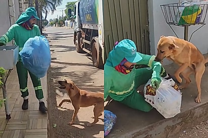 Caramelo espera todos os dias para brincar com seu melhor amigo gari