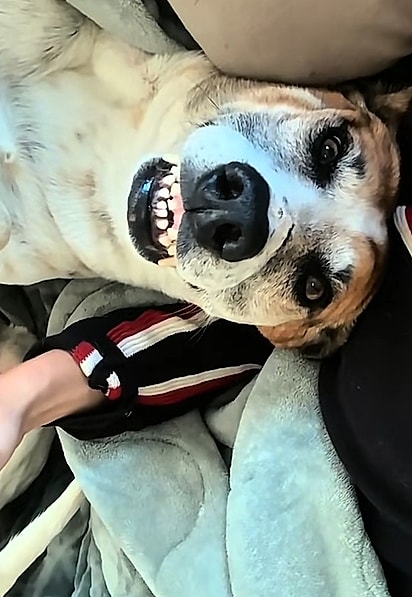 Guri mostrando o sorriso banguela.