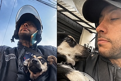 Motoboy encontrou cachorrinho perdido e decidiu levá-lo junto nas entregas
