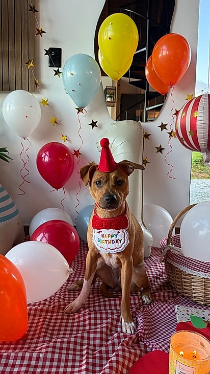 Olívia ganhou uma festinha de aniversário.