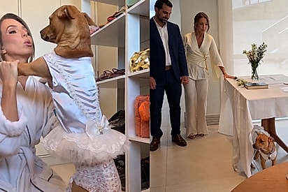 De resgatada a daminha: a única convidada autorizada a usar branco no casamento era caramelo e tinha 4 patas