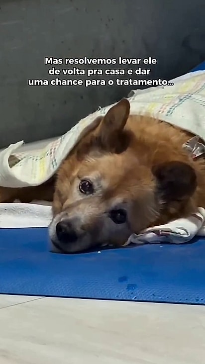 Brad mostrou uma grande força.