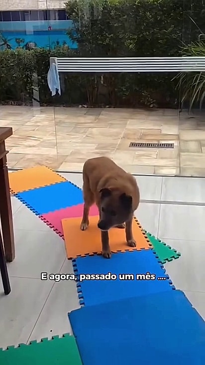 Brad surpreendeu a família.
