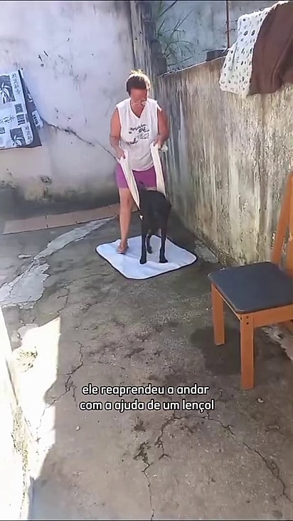Mesmo perdendo uma das patas ele não desistiu.