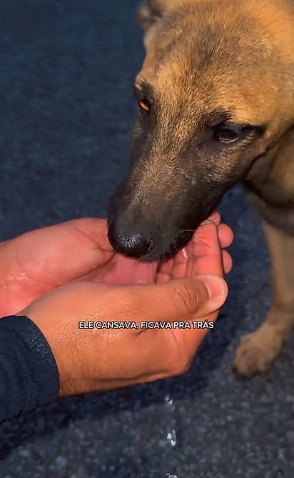 Vittor hidratando o cachorro durante a corrida.