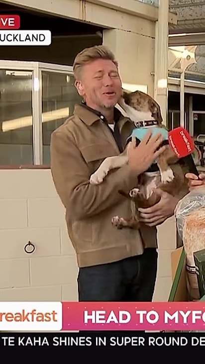 O jornalista se apaixonou pela cachorrinha.