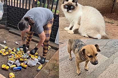 “Latinhas que salvam”: Moradora de Toledo troca recicláveis por castrações de cães e gatos.