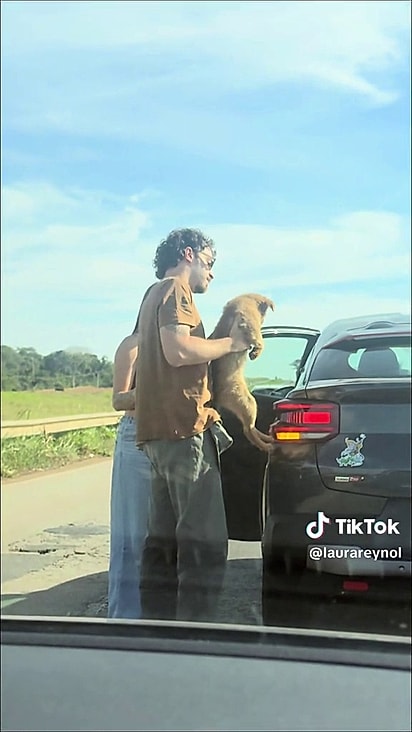 A cachorrinha estava assustada.
