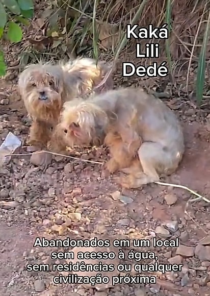 Kaká, Lili e Dedé antes do resgate.