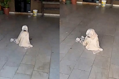 Jovem volta para casa querendo paz e dá de cara com fantasma precisando de ajuda na varanda: Imagina à noite
