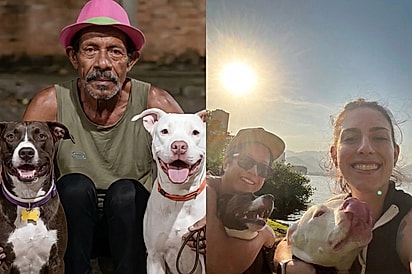 Após perderem tutor atropelado, pitbulls são acolhidos por casal que promete cuidar deles em sua memória