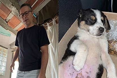 Pai que não era fã de cães se rende a vira-latinha e transforma filhote no xodó da casa.