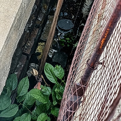 O fundo do vão, entre a vegetação. A fresta tem menos de 30 centímetros de largura e cerca de três metros de fundo.