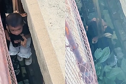 Quero descer como um bombeiro: menina de 3 anos entra em fresta onde adultos não cabiam para salvar filhotinho