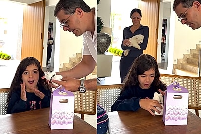 “Ela acabou de conhecer a melhor amiga”: menina ganha filhote de surpresa e reação encanta.
