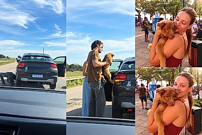 Assim nasceu a Rita Caramelita: casal deita no asfalto para salvar filhote e ganha presente cor de café com leite