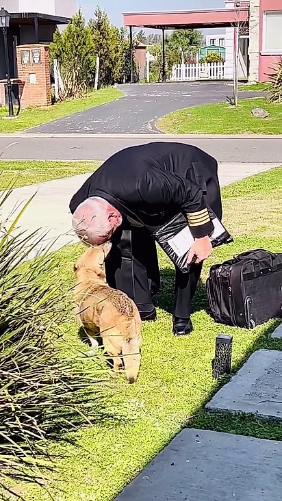 Mesmo com dor na pata o cão caminha até o quintal.