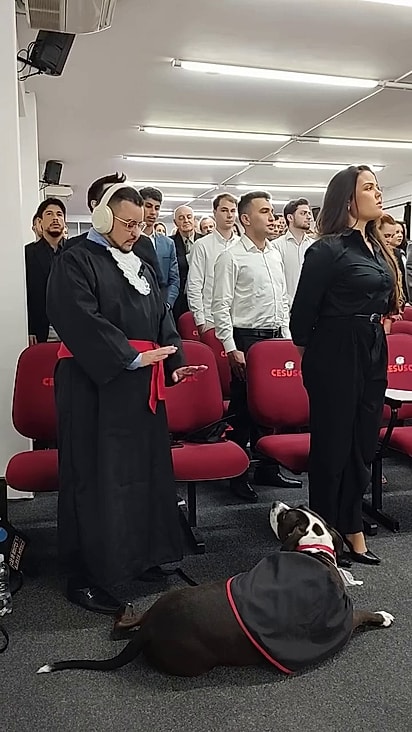 Yoda percebeu o nervosismo de Jhon.